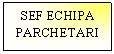 Text Box: SEF ECHIPA PARCHETARI