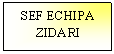 Text Box: SEF ECHIPA ZIDARI