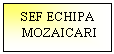 Text Box: SEF ECHIPA
 MOZAICARI

