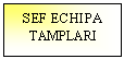 Text Box: SEF ECHIPA
TAMPLARI 
