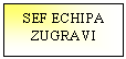 Text Box: SEF ECHIPA
ZUGRAVI
