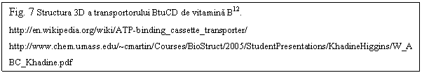 Text Box: Fig. 7 Structura 3D a transportorului BtuCD de vitamina B12.
https://en.wikipedia.org/wiki/ATP-binding_cassette_transporter/ https://www.chem.umass.edu/~cmartin/Courses/BioStruct/2005/StudentPresentations/KhadineHiggins/W_ABC_Khadine.pdf
