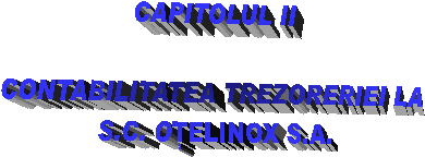 CAPITOLUL II

CONTABILITATEA TREZORERIEI LA
S.C. OTELINOX S.A.
