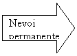 Right Arrow: Nevoi permanente