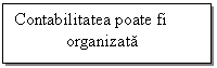 Text Box: Contabilitatea poate fi                 
	organizata	
