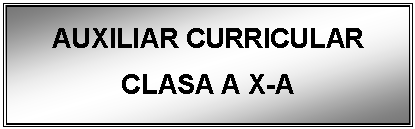 Text Box: AUXILIAR CURRICULAR
CLASA A X-A

