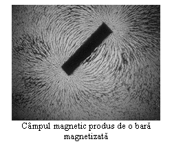 Text Box:  
Campul magnetic produs de o bara magnetizata
