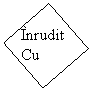 Text Box: Inrudit Cu 