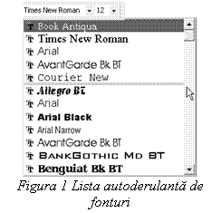Text Box:  
Figura 1 Lista autoderulanta de fonturi
