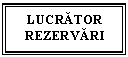 Text Box: LUCRATOR
REZERVARI
