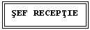 Text Box: SEF RECEPTIE