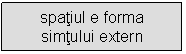 Text Box: spatiul e forma simtului extern