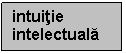Text Box: intuitie intelectuala