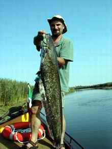 Pescuitul in Romania