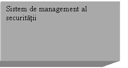 Text Box: Sistem de management al securitatii

