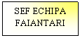 Text Box: SEF ECHIPA
FAIANTARI 
