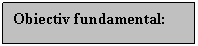 Text Box: Obiectiv fundamental: