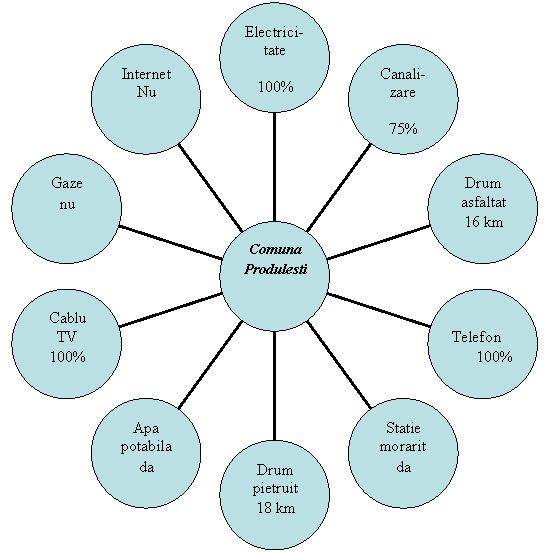 Radial Diagram