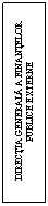 Text Box: DIRECTIA GENERALA A FINANTELOR PUBLICE EXTERNE