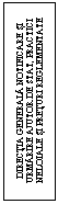 Text Box: DIRECTIA GENERALA NOTIFICARE SI URMARIRE AJUTOR DE STAT, PRACTICI NELOIALE SI PRETURI REGLEMENTATE
