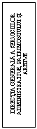 Text Box: DIRECTIA GENERALA A SERVICIILOR ADMINISTRATIVE, PATRIMONIULUI SI ARHIVE