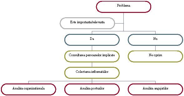 Organization Chart