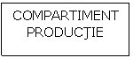 Text Box: COMPARTIMENT PRODUCTIE