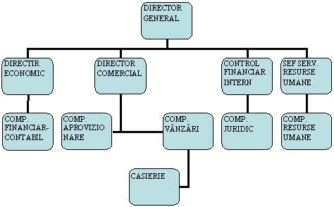 Organization Chart