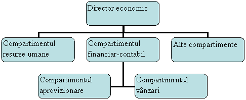 Organization Chart