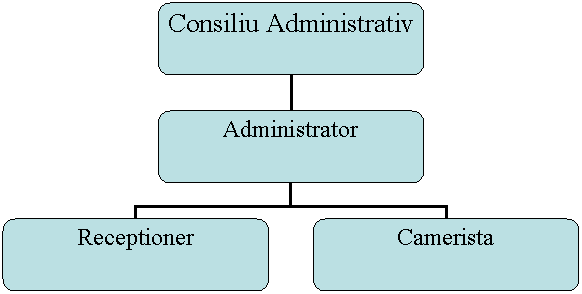 Organization Chart