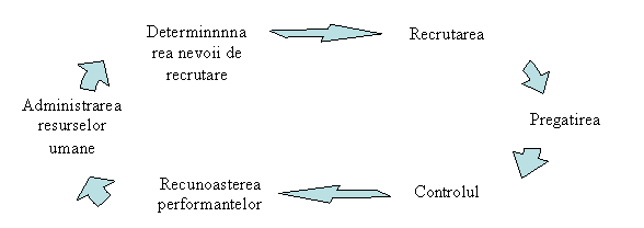 Cycle Diagram