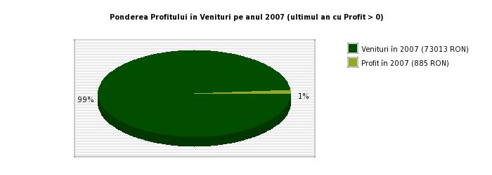 Ponderea Profitului in Venituri pe anul 2007 a ANGORA SRL