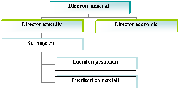 Organization Chart