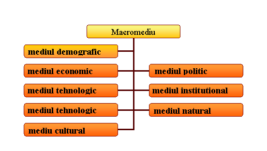 Organization Chart