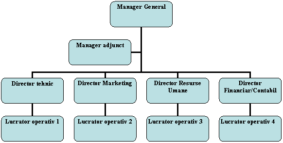 Organization Chart