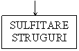 Text Box: SULFITARE STRUGURI