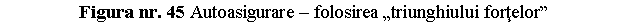 Text Box: Figura nr. 45 Autoasigurare - folosirea 