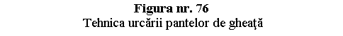 Text Box: Figura nr. 76
 Tehnica urcarii pantelor de gheata

