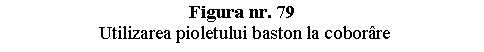 Text Box: Figura nr. 79
 Utilizarea pioletului baston la coborare

