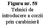 Text Box: Figura nr. 58  Tehnici de introducere a corzii prin carabiniera 


