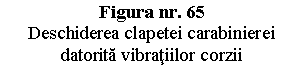 Text Box: Figura nr. 65 
Deschiderea clapetei carabinierei datorita vibratiilor corzii


