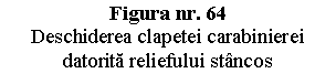 Text Box: Figura nr. 64 
Deschiderea clapetei carabinierei datorita reliefului stancos


