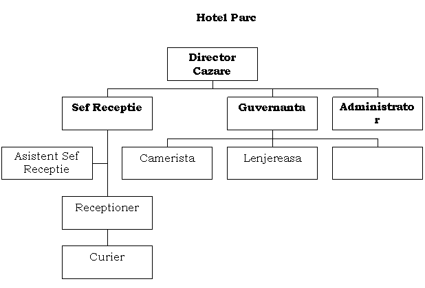 Organization Chart