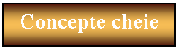 Text Box: Concepte cheie