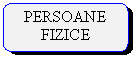 Rounded Rectangle: PERSOANE FIZICE

