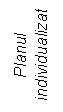 Text Box: Planul individualizat