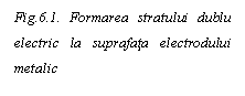 Text Box: Fig.6.1. Formarea stratului dublu electric la suprafata electrodului metalic