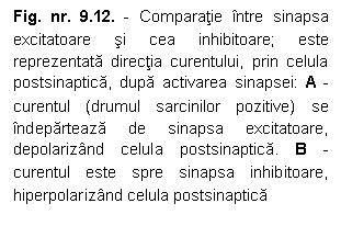 Text Box: Fig. nr. 9.12. - Comparatie intre sinapsa excitatoare si cea inhibitoare; este reprezentata directia curentului, prin celula postsinaptica, dupa activarea sinapsei: A - curentul (drumul sarcinilor pozitive) se indeparteaza de sinapsa excitatoare, depolarizand celula postsinaptica. B - curentul este spre sinapsa inhibitoare, hiperpolarizand celula postsinaptica

