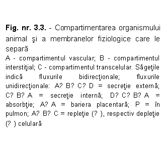 Text Box: Fig. nr. 3.3. - Compartimentarea organismului animal si a membranelor fiziologice care le separa
A - compartimentul vascular; B - compartimentul interstitial; C - compartimentul transcelular. Sagetile indica fluxurile bidirectionale; fluxurile unidirectionale: A→B→C→D = secretie externa; C→B→A = secretie interna; D→C→B→A = absorbtie; A↔A = bariera placentara; P = in pulmon; A↔B↔C = repletie (→), respectiv depletie (←) celulara
