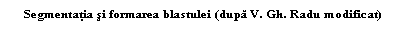 Text Box: Segmentatia si formarea blastulei (dupa V. Gh. Radu modificat)